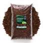 Preview: FOREST FLOOR PINE Pinienrinde für Feuchtterrarien 100 % Naturprodukt